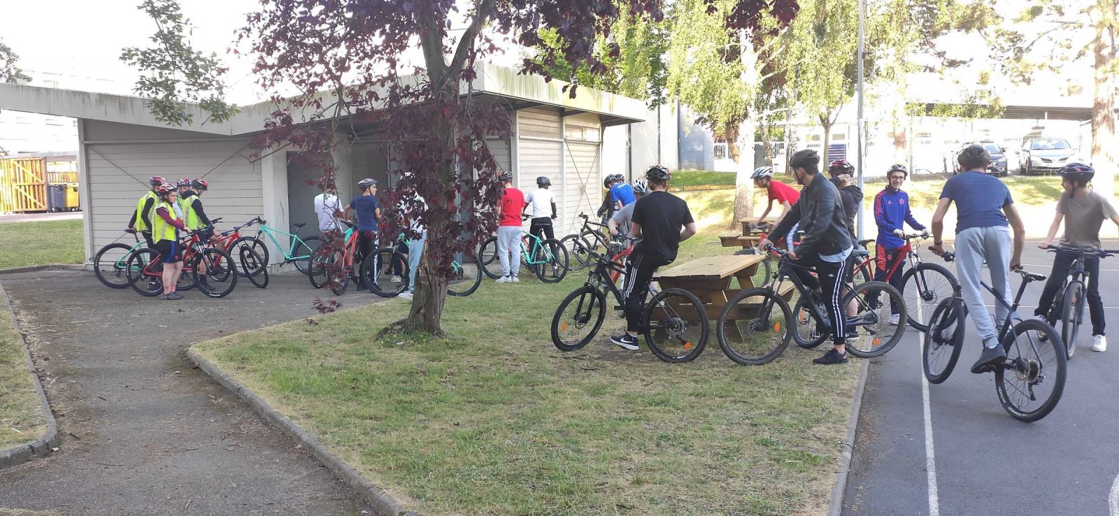 Sortie au bois du Biez de Mondeville - Lycée Jules VERNE